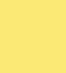 tvh 2 5L ZINC YELLOW 107TA7402